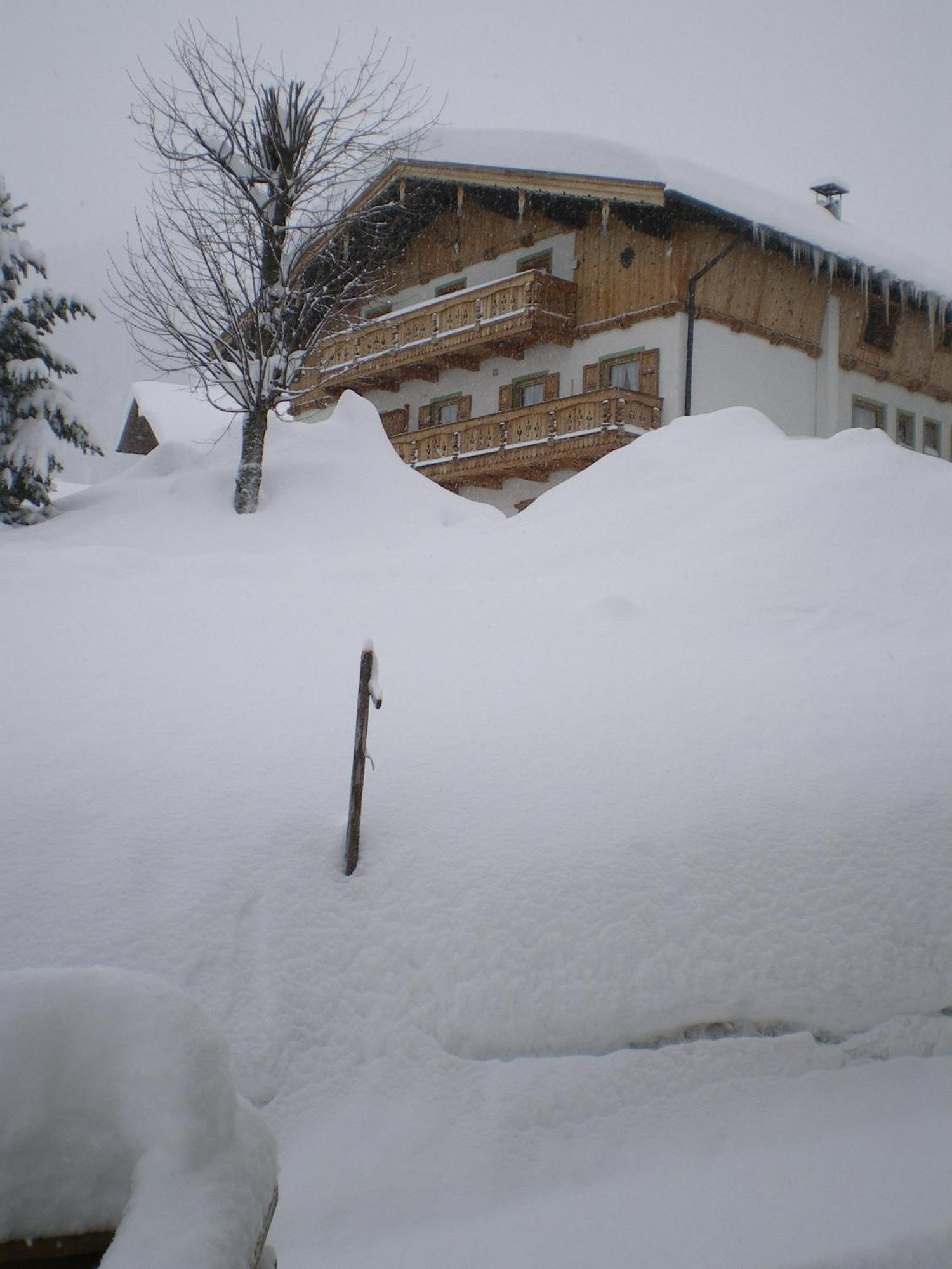 Haus Amann Apartment Berwang Exterior photo